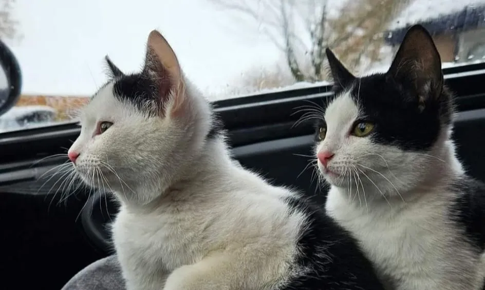 Een verleden gevuld met passie, een toekomst vol hoop