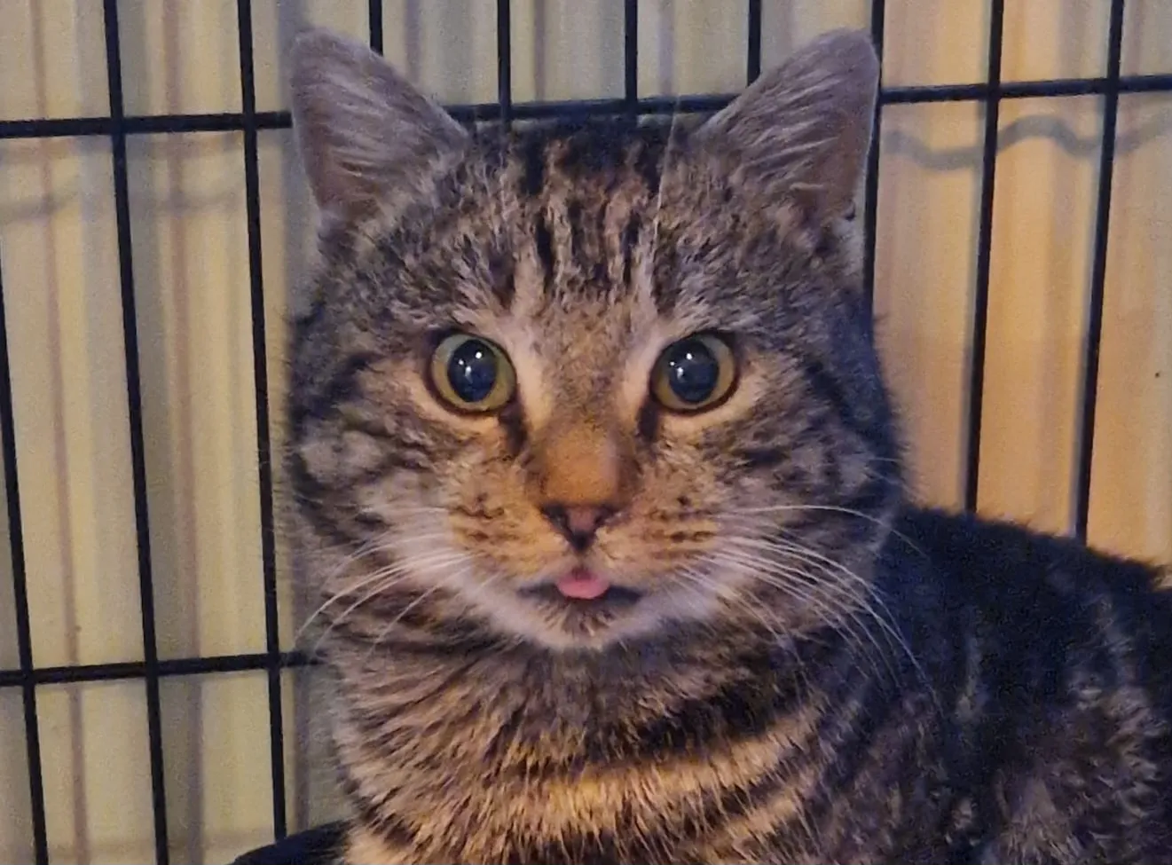 Een verleden gevuld met passie, een toekomst vol hoop